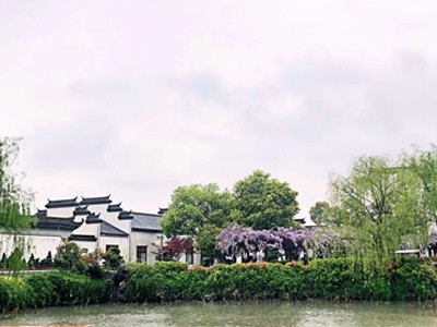 糖心VLGO城市漫步作品五