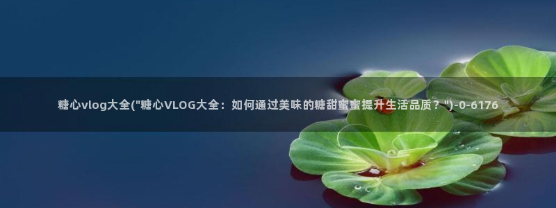 成人糖心vlog是什么