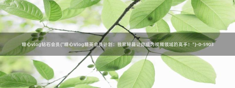 糖心vlog小桃 路人