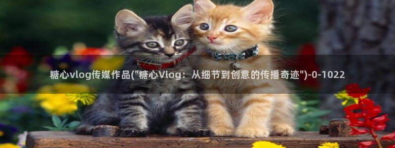 糖心vlog切换账号