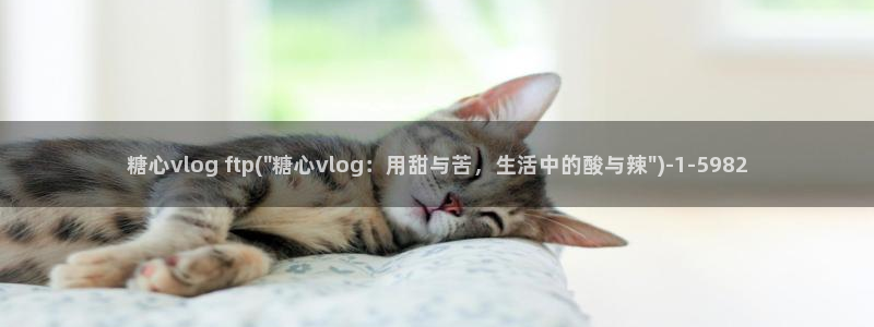 糖心vlog网址下载
