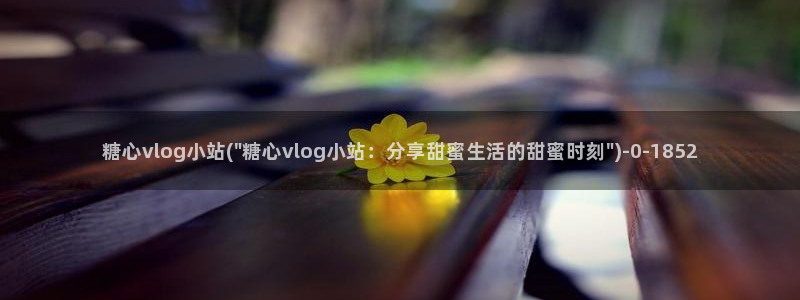 糖心vlog免
