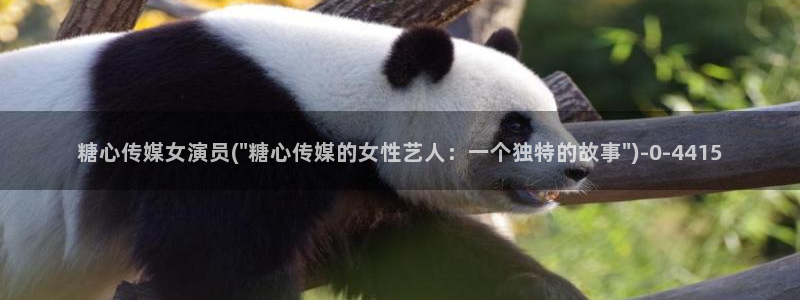 糖心vlog是干嘛的