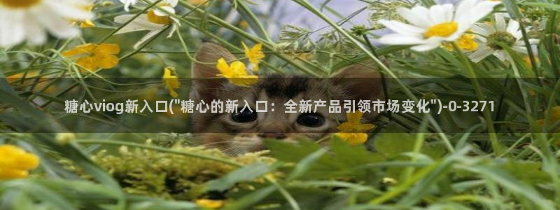 懒懒猪糖心vlog在线观看免费