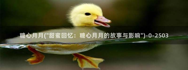糖心vlog进入