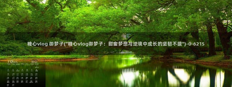 糖心 vlog御梦子
