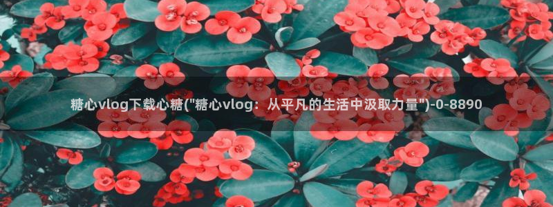 糖心vlog免费视频