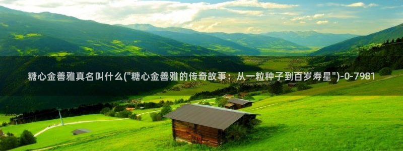 糖心小视频