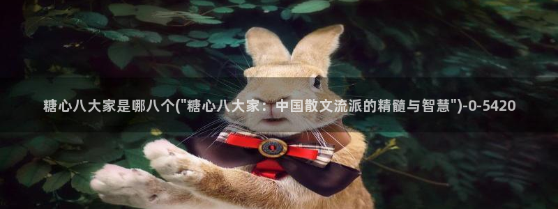 糖心vlog无码