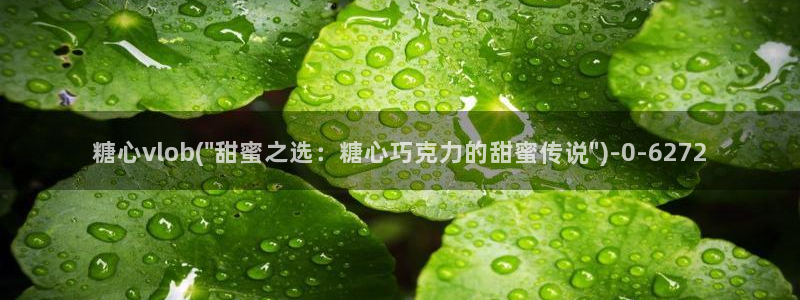 糖心vlog无限
