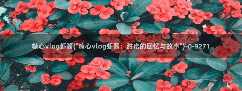 糖心vlog精产国品