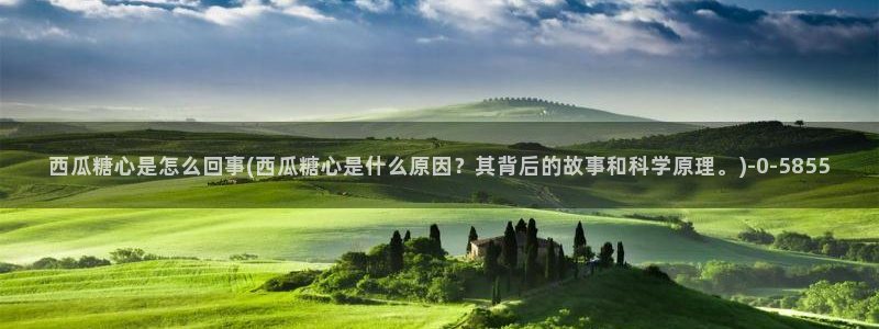 糖心vlog一区