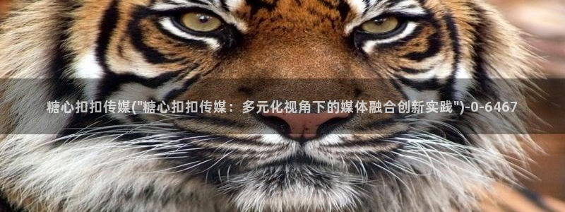 糖心vlog苹果官网