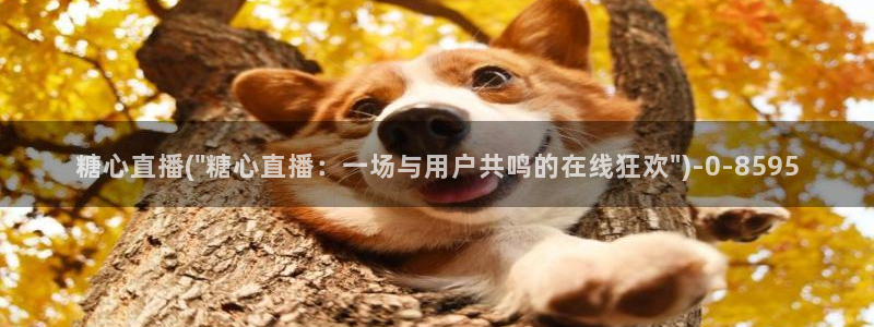 糖心vlog视频免费在线观看