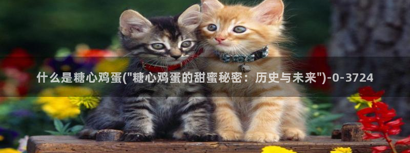 糖心vlog中国区
